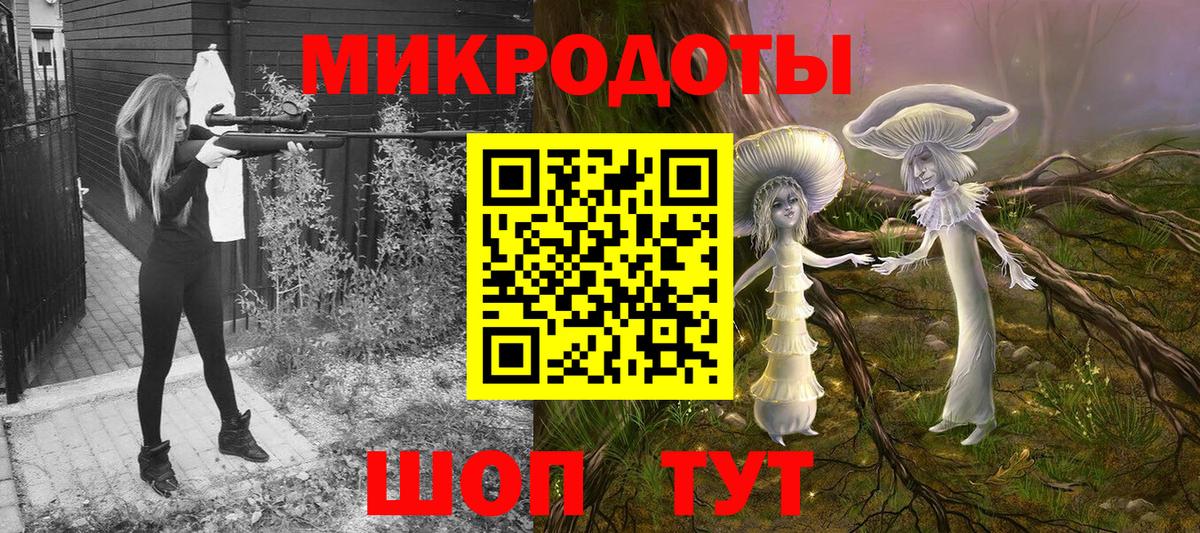 Псилоцибиновые грибы Psilocybe  Вход с VPN  Буйнакск  Псилоцибиновые грибы GOLDEN TEACHER 