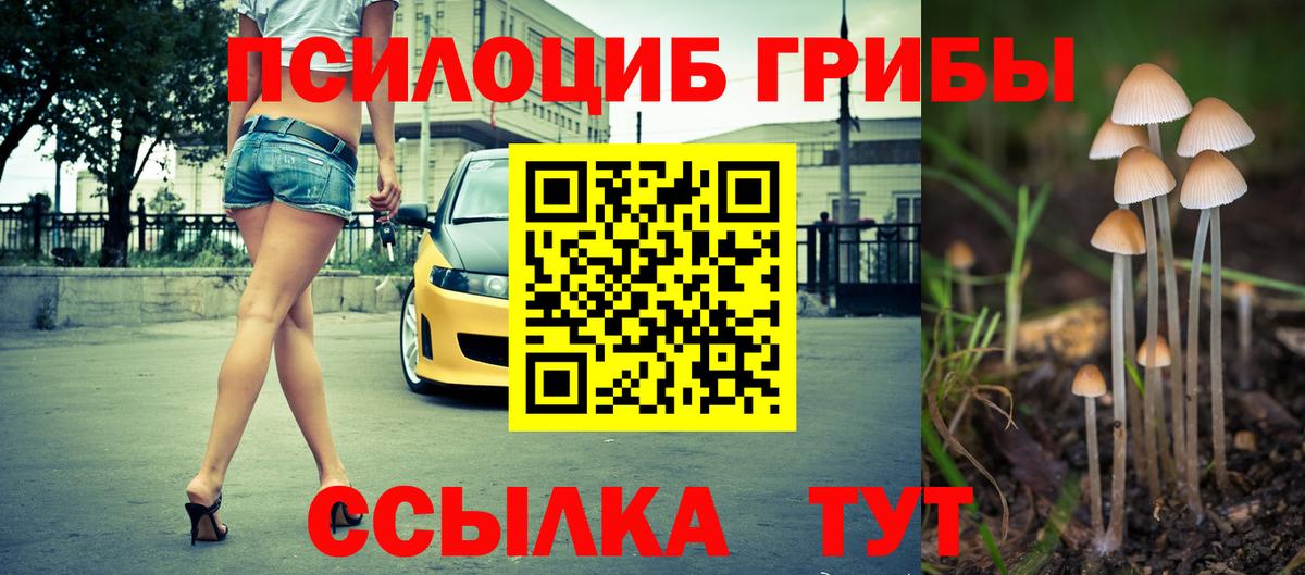 Псилоцибиновые грибы мицелий Буйнакск
